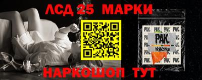 индика Вышний Волочёк