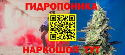 гашик Вязники