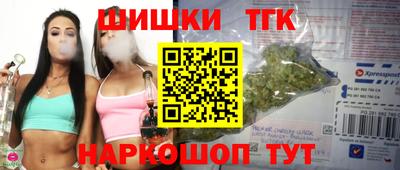 индика Вышний Волочёк