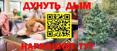 индика Вышний Волочёк