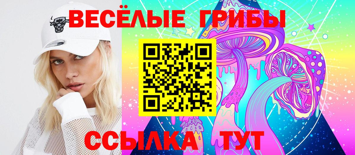 Псилоцибиновые грибы GOLDEN TEACHER Ачхой-Мартан
