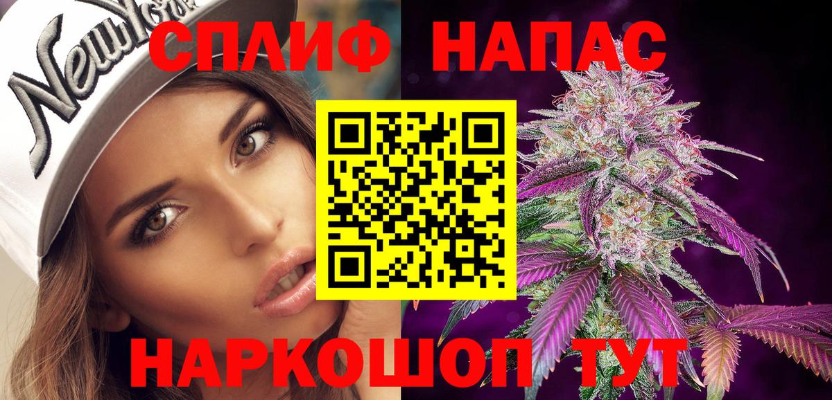 Конопля семена Ачхой-Мартан
